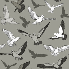 Vector Seamless monochrome pattern with flying pigeon.