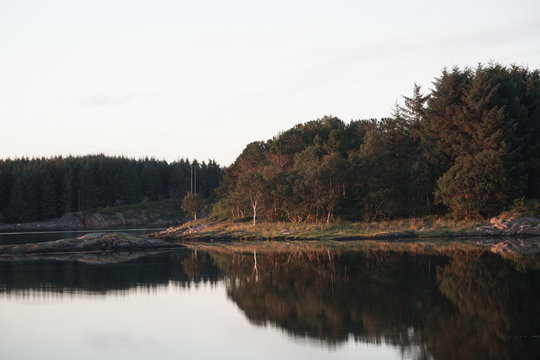 Halbinsel am See im Wald