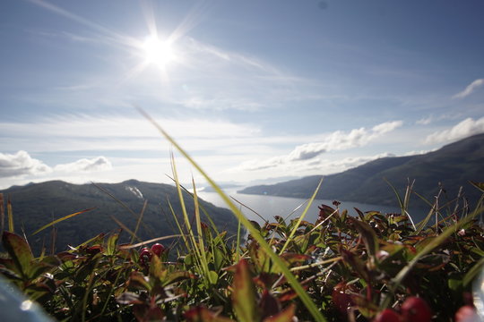 Fjord Panorama