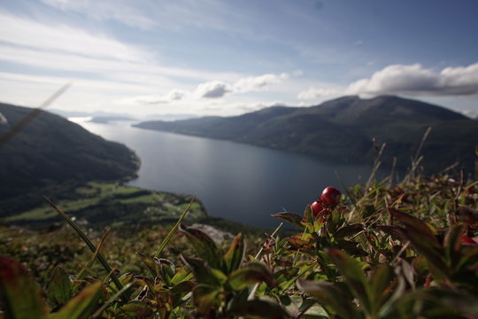 Fjord Panorama