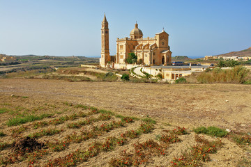 The Basilica of the National Shrine of the Blessed Virgin of Ta' Pinu  on the island of Gozo  of Malta   © robnaw