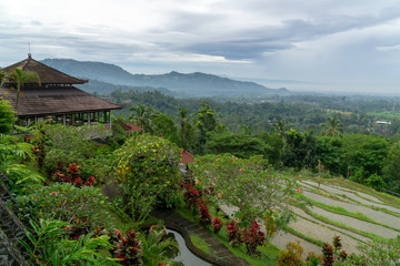 Panoramic view from a hill with rice terraces beneath
