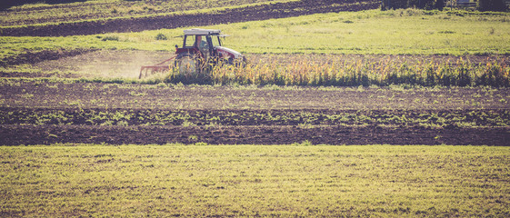 Traktor am Feld, Landwirtschaft im Herbstlicht
