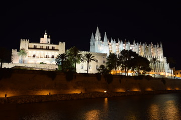 Cathedral of Palme de Mallorca at night