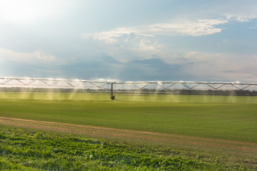 Fototapeta na wymiar Automated farming irrigation sprinklers system on cultivated agricultural landscape field. Summer sunset