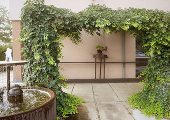 Fototapeta na wymiar Beautiful terrace garden with lush ornamental rambling ivy for summer shadow and fountain