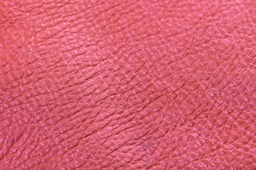 leather texture closeup