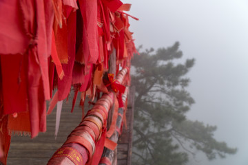 Memorable red ribbons with a tree in the background