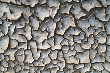 Dry land, texture formed by nature