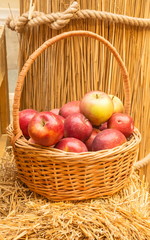 Basket with ripe red apples on the background of stacks of straw