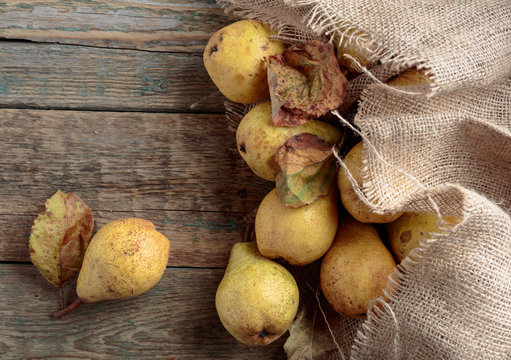 Ripe pears, healthy organic food.