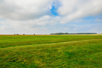 green field and blue sky