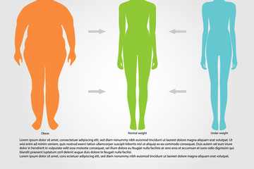 BMI or Body Mass Index Infographic Chart.Vector illustration.