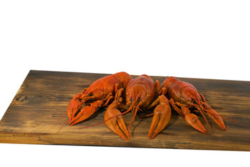 Boiled crayfish food on wooden board on white background. Red boiled crawfish on wooden desk