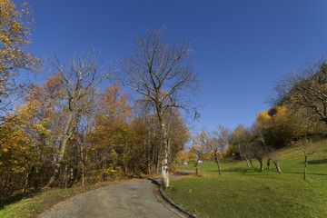 Obraz premium strada in montagna immersa nei colori autunnali e luci pomeridiane