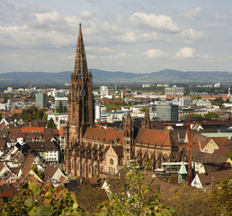 Fototapeta premium Freiburger Münster