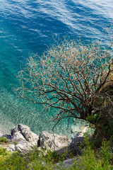 A seaview of San Nicola Arcella near the Arcomagno, Calabria, Southern Italy.