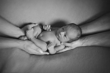 black and white photo: portrait of newborn baby lying on the hands of parents