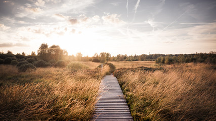 path during field