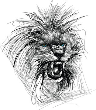 Sketch of lion head