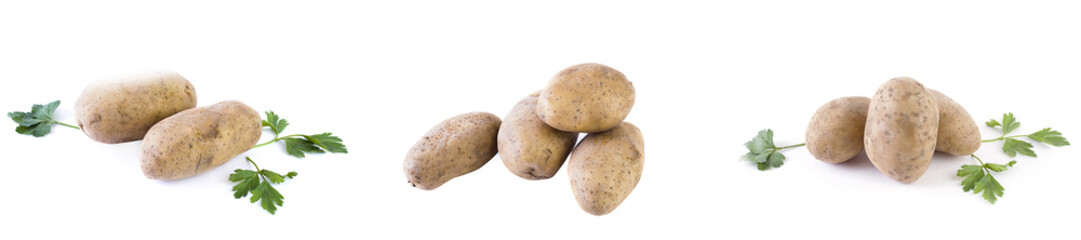 Potatoes on a white background. The  vegetable on a white background.