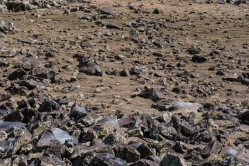 Stone area
