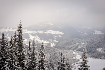 Winter landscapes in the Carpathians: a path, a forest, a wooden kolyba