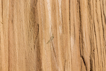Old wood pattern texture and background