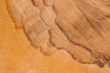 Old wood pattern texture and background
