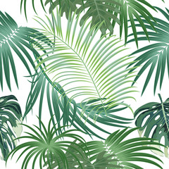 Tropical jungle palm leaves seamless pattern
