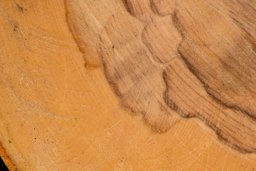 Old wood pattern texture and background