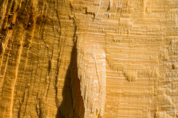 Old wood pattern texture and background