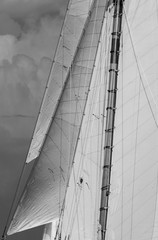 Fototapeta premium Sail