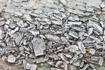 Stone surface covered with hoarfrost