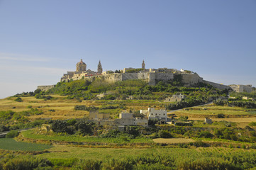 Fototapeta na wymiar Mdina - fortified city in the Northern Region of Malta 