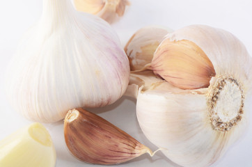 Fresh garlic closeup isolated on white background