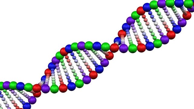 Creation of a DNA molecule and rotation a DNA molecule on white background. Loopable. Luma matte. 3D rendering.