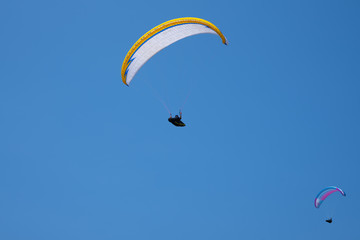 Skydivers on a blue sky background.