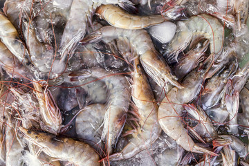 fresh prawns most delicious seafood