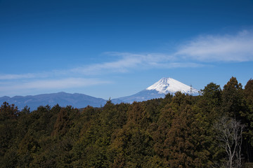 Mt.Fuji and forest with blue sky at Mishima skywalk, Japan