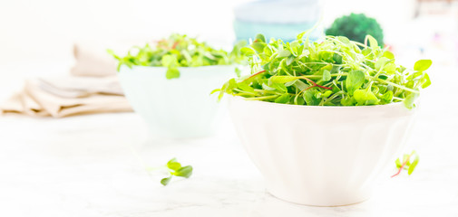 Mixed baby greens salad in bowl. Superfood snack concept