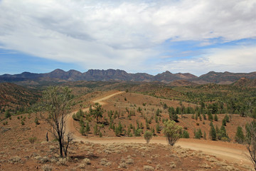 Fototapeta na wymiar Gravel track road winding off in to the distance in the Flinders Ranges, South Australia