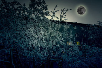 Fototapeta premium Dark spooky forest and home with moon,halloween concept, Halloween background. 