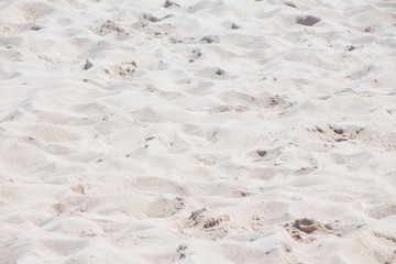 Obraz premium Close up beach sand background