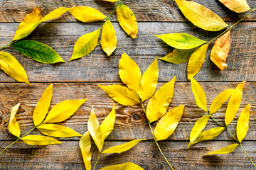 Autumn leaves background. Fresh yellow leaves on wooden background top view