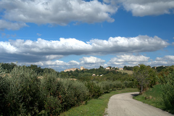 Fototapeta na wymiar road in the hill,italy,village,landscape,trees,countryside,clouds,green,autumn,rural,field,view