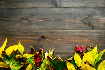 Mockup with bright autumn leaves and berries. Yellow and green leaves, red berries on wooden background top view copy space