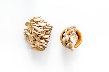 Oyster mushroom. Fresh raw veshenka on white background top view copy space