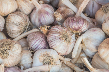 garlic closeup in a wicker basket on the market