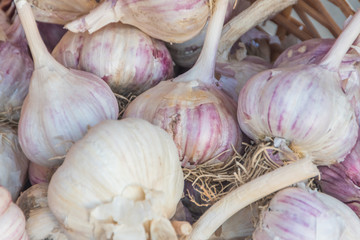 garlic closeup in a wicker basket on the market